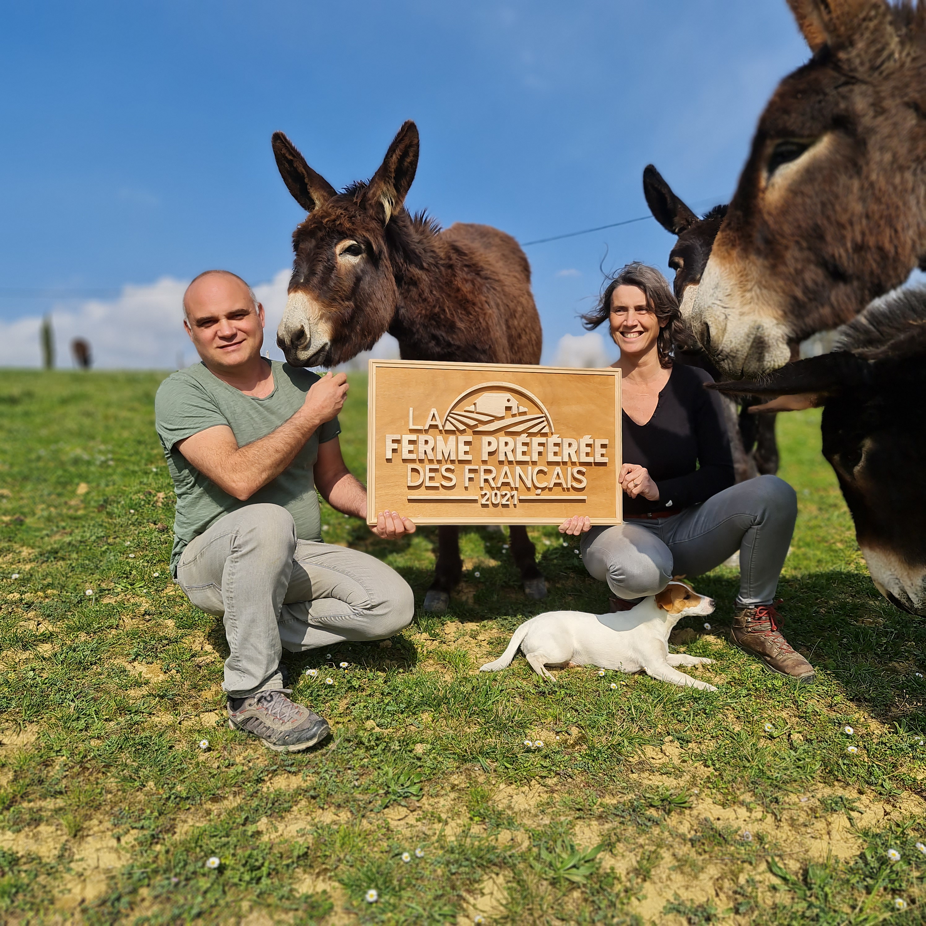 La ferme du Hitton élue La Ferme Préférée des Français_Cécile et Manu entourés d'ânesses